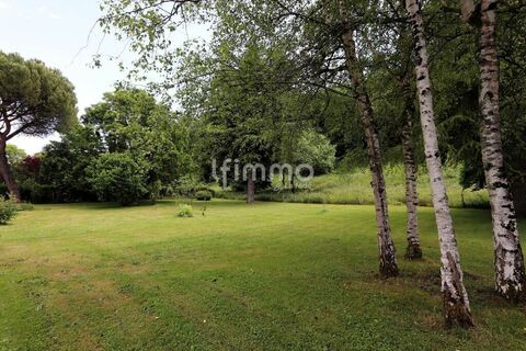 Img 3374