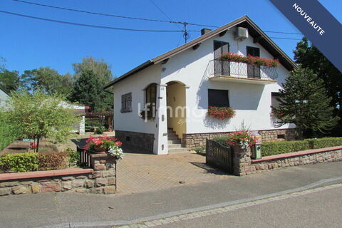 Img 4501
