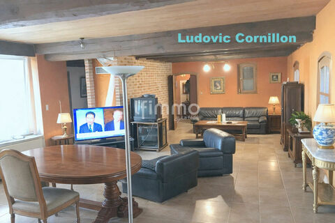 Salon lumineux avec des touches vintages 1